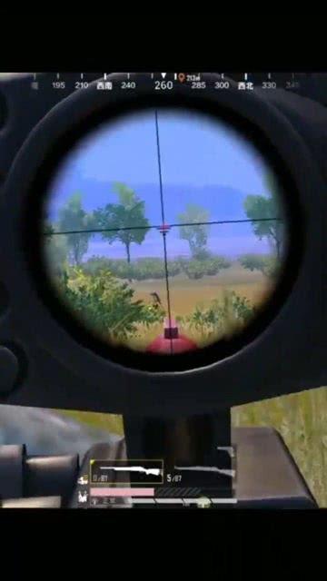 吃鸡谎言瓜,一场网络迷雾中的真相追寻