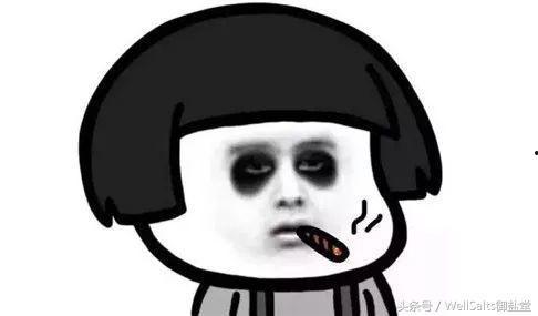 吃瓜选手熬夜不想吃瓜,不想吃瓜，只想休息