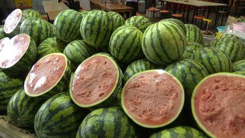 盘点今年吃的瓜,盘点那些让人“瓜”意盎然的美食瞬间