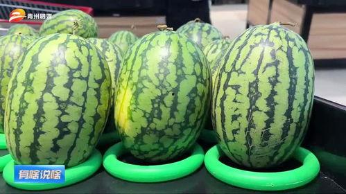 潍坊职业跳舞吃瓜,翩翩起舞，瓜香四溢的青春风采