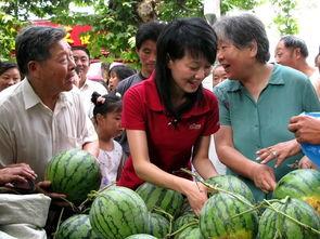 瓜农今日吃瓜在哪里,探寻瓜农的休闲时光
