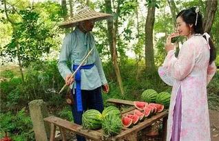 吃瓜赏大片,揭秘娱乐圈幕后故事