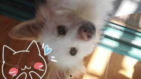 吃瓜声音小,揭秘小声吃瓜的趣味与魅力