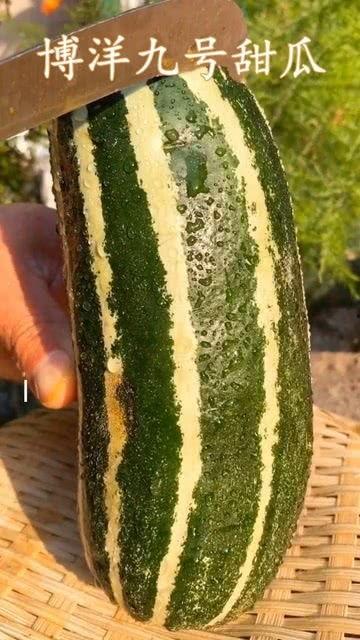 葵瓜熟了怎么吃,多样美味吃法大揭秘