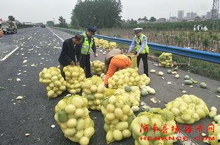 乌苏苏吃瓜群众,揭秘网络热议背后的真相