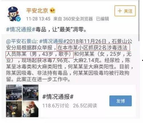 吃瓜有点难txt下载,TXT下载背后的故事与启示