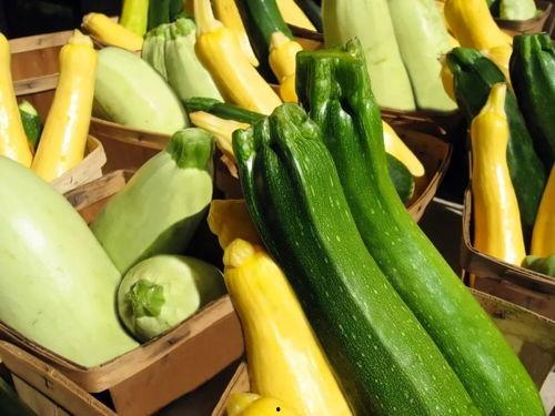 带你吃瓜玩具,趣味与创意的完美结合