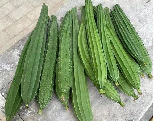 绿色的长瓜怎么吃,绿色长瓜的多样食法探索