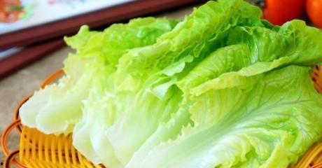 中午吃生菜和蟹瓜,夏日午后的清新美味之旅