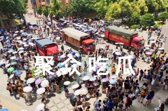 吃瓜学院3,揭秘娱乐圈背后的秘密与真相