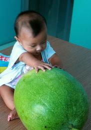 吃瓜 丫丫,丫丫事件背后的真相揭秘