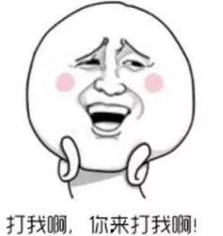 呆瓜米怎么吃,解锁美味新境界